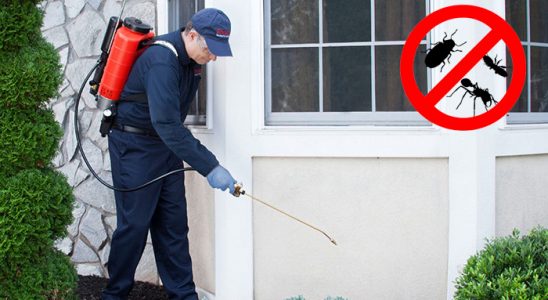 Ulukent Tahtakurusu İlaçlama böcek ilaçlama ve haşere kontrolü — ilaclama-tr.com